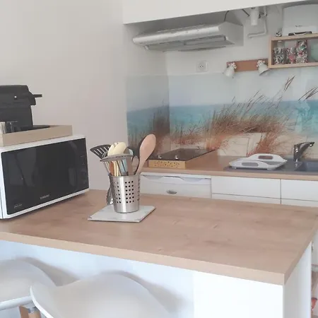 Bleu Soleil 3* En 200m & Commerces Lägenhet *