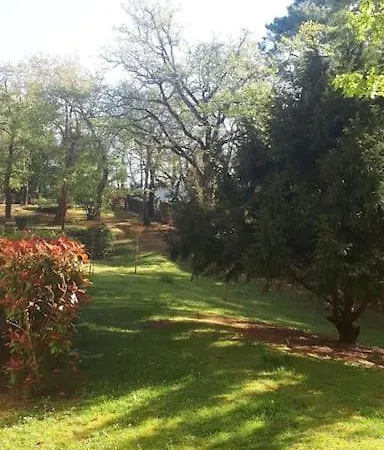 Lägenhet Bleu Soleil 3* En 200m & Commerces